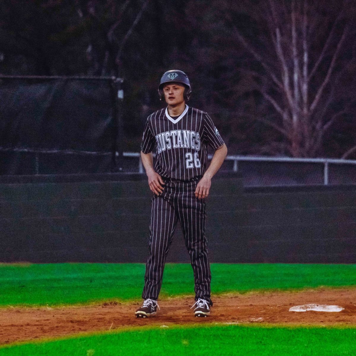 Willie_Prince_Kennesaw_Mountain_baseball.139